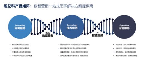 咨詢賦能，技術(shù)破局 營(yíng)銷數(shù)字化轉(zhuǎn)型中的價(jià)值躍升之道